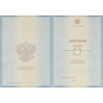 Диплом бакалавра 2011