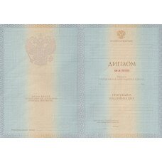 Диплом бакалавра 2012-2013