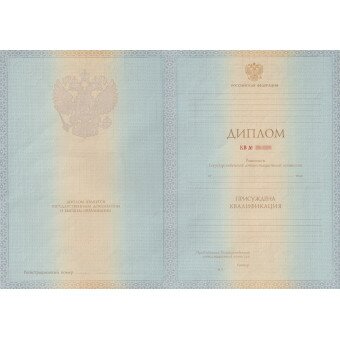 Диплом бакалавра 2012-2013