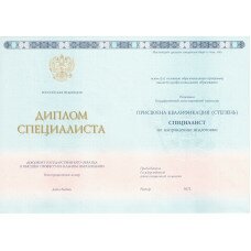 Диплом специалиста 2013
